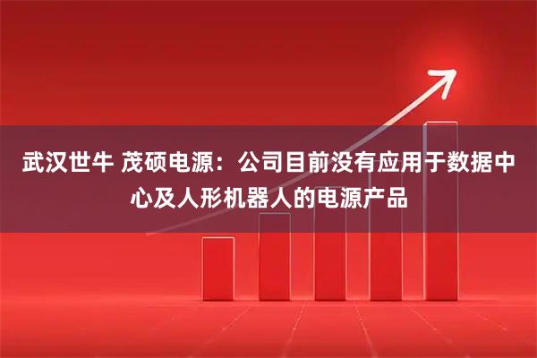 武汉世牛 茂硕电源：公司目前没有应用于数据中心及人形机器人的电源产品