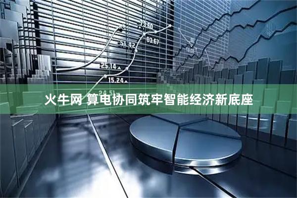 火牛网 算电协同筑牢智能经济新底座