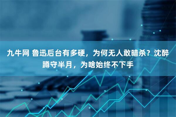 九牛网 鲁迅后台有多硬，为何无人敢暗杀？沈醉蹲守半月，为啥始终不下手
