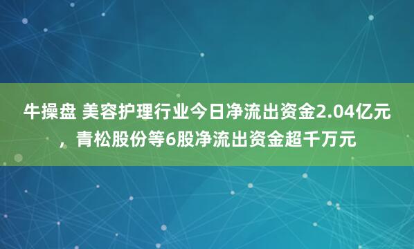 牛操盘 美容护理行业今日净流出资金2.04亿元，青松股份等6股净流出资金超千万元