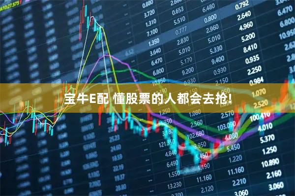 宝牛E配 懂股票的人都会去抢!